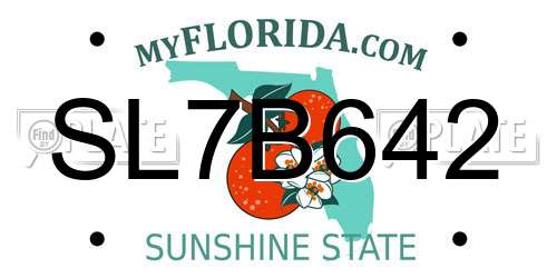 SL7B642 Florida License Plate