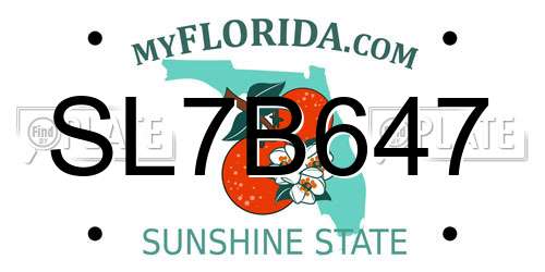 SL7B647 Florida License Plate