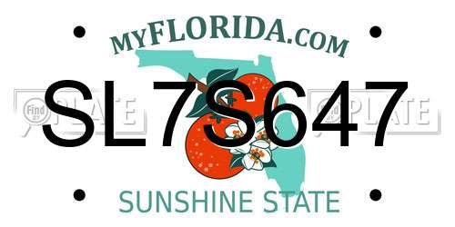 SL7S647 Florida License Plate
