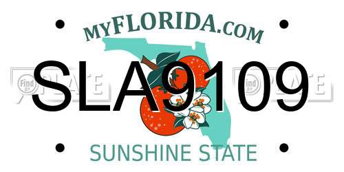 SLA9109 Florida License Plate
