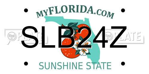 SLB24Z Florida License Plate
