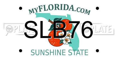 SLB76 Florida License Plate