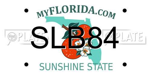 SLB84 Florida License Plate