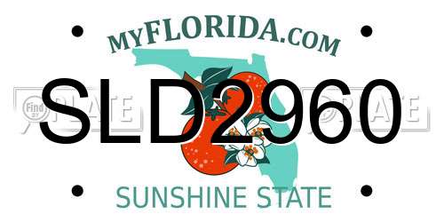 SLD2960 Florida License Plate