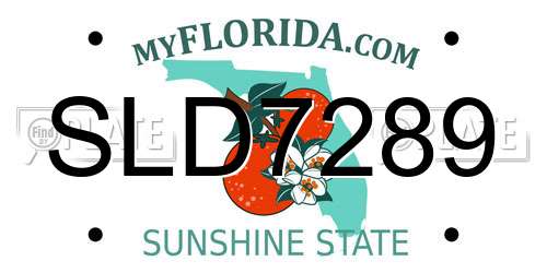SLD7289 Florida License Plate