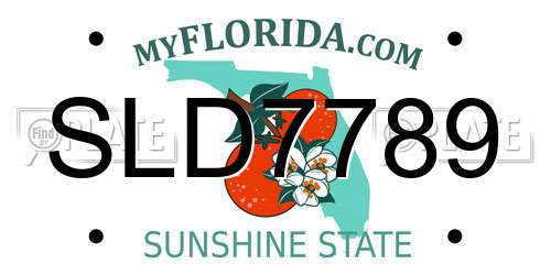 SLD7789 Florida License Plate
