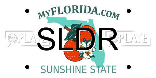 SLDR Florida License Plate