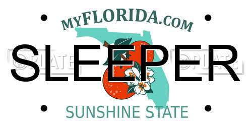 SLEEPER Florida License Plate