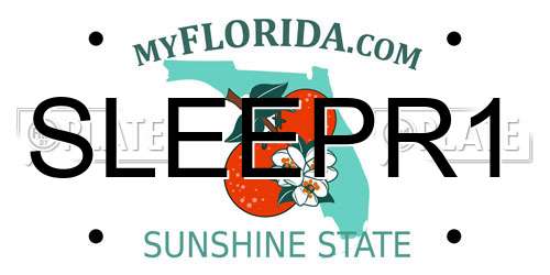 SLEEPR1 Florida License Plate