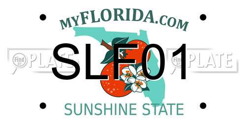 SLF01 Florida License Plate