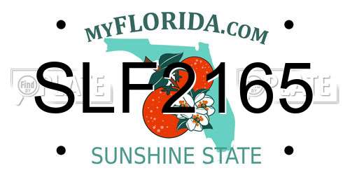 SLF2165 Florida License Plate