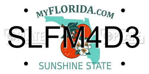 SLFM4D3 Florida License Plate