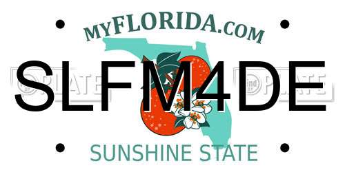 SLFM4DE Florida License Plate