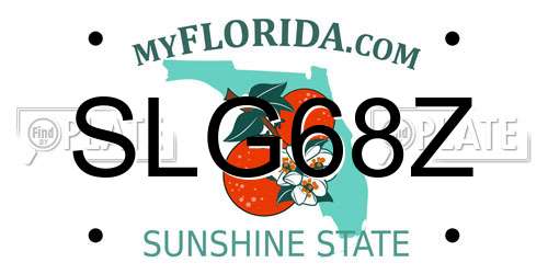SLG68Z Florida License Plate