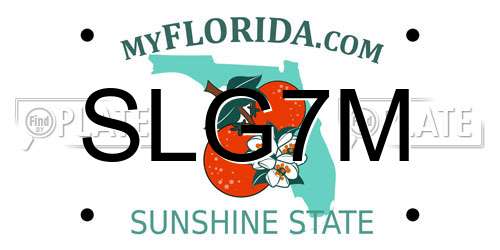 SLG7M Florida License Plate