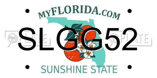 SLGG52 Florida License Plate