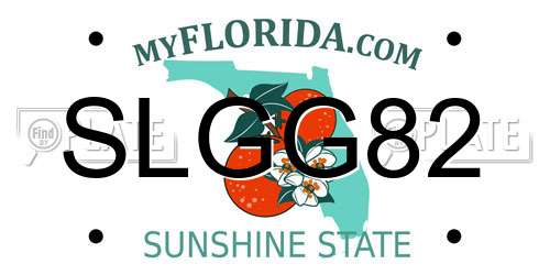 SLGG82 Florida License Plate