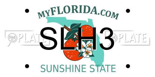 SLH3 Florida License Plate