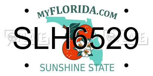 SLH6529 Florida License Plate