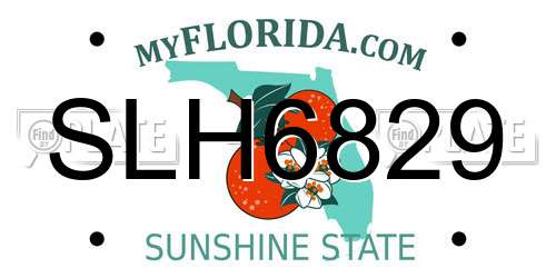 SLH6829 Florida License Plate