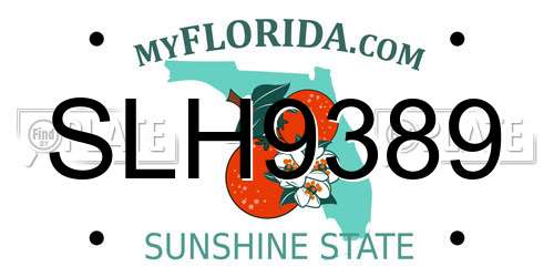 SLH9389 Florida License Plate