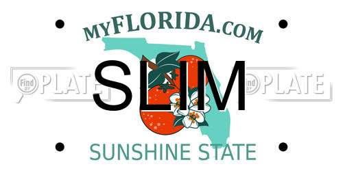 SLIM Florida License Plate