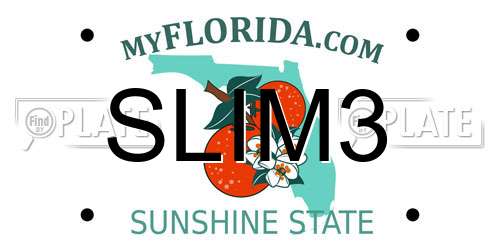 SLIM3 Florida License Plate