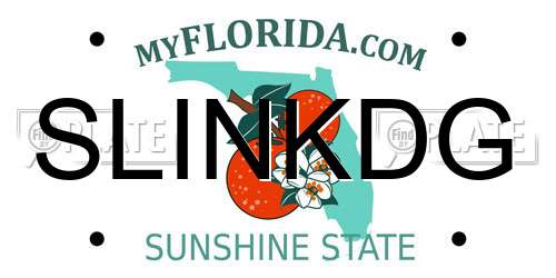SLINKDG Florida License Plate