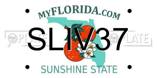 SLIV37 Florida License Plate