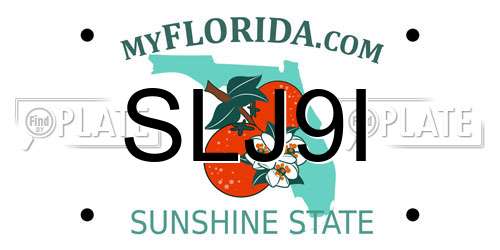 SLJ9I Florida License Plate