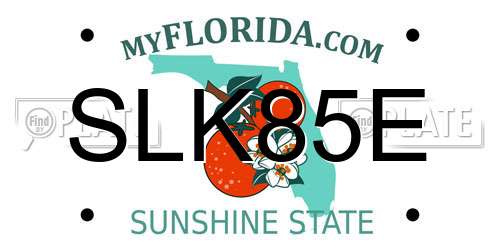 SLK85E Florida License Plate