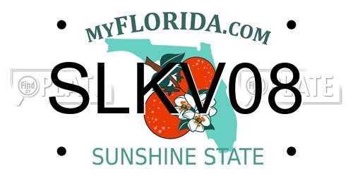 SLKV08 Florida License Plate
