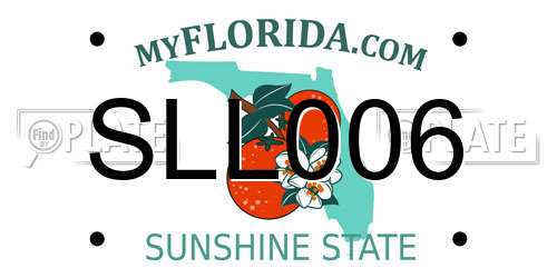 SLL006 Florida License Plate