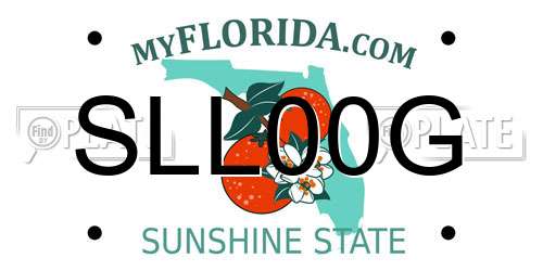 SLL00G Florida License Plate