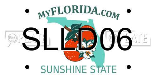 SLLD06 Florida License Plate