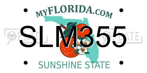 SLM355 Florida License Plate