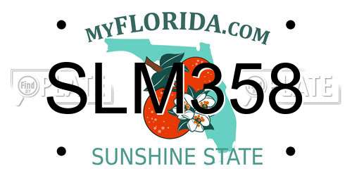 SLM358 Florida License Plate