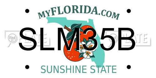 SLM35B Florida License Plate