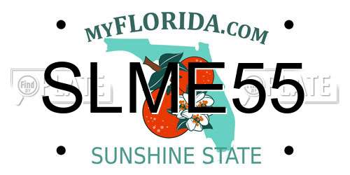 SLME55 Florida License Plate
