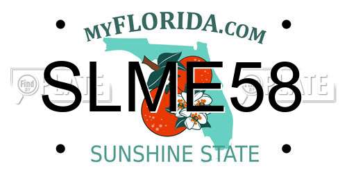 SLME58 Florida License Plate