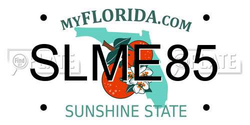 SLME85 Florida License Plate