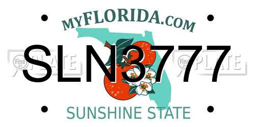 SLN3777 Florida License Plate