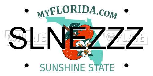 SLNEZZZ Florida License Plate