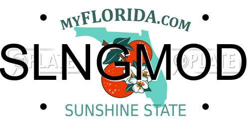 SLNGMOD Florida License Plate