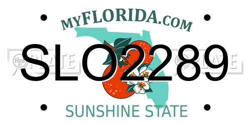 SLO2289 Florida License Plate