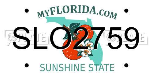 SLO2759 Florida License Plate