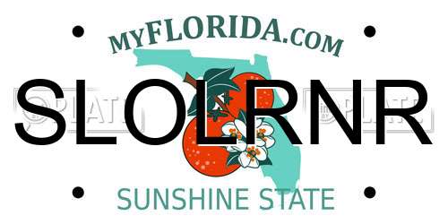 SLOLRNR Florida License Plate