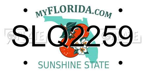 SLQ2259 Florida License Plate