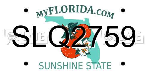 SLQ2759 Florida License Plate