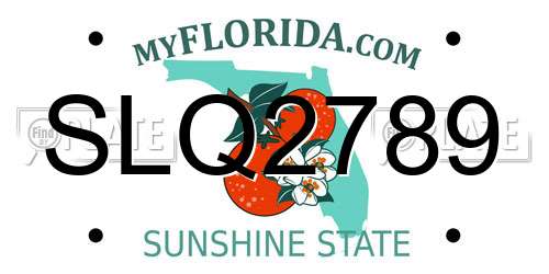 SLQ2789 Florida License Plate